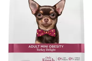 Adult mini obesity - Turkey Delight