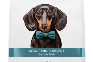 Adult mini exigent - Iberian Pork