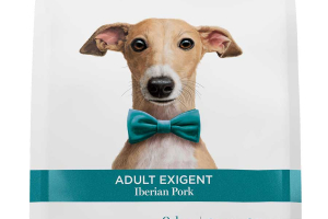 Adult exigent - Iberian Pork