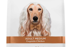Adult medium - Exquisite Chicken