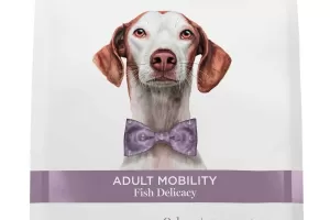 Adult mobility - Fish Delicacy