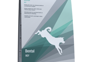 Dental | OCF