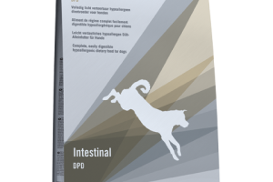 Intestinal | DPD - DRY