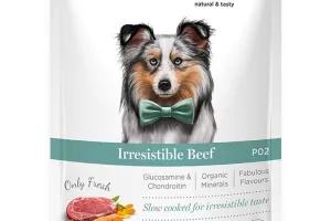 Irresistible Beef